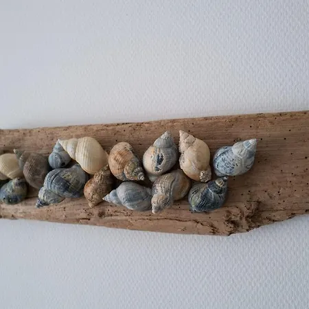 Casa de Férias With View Borkum